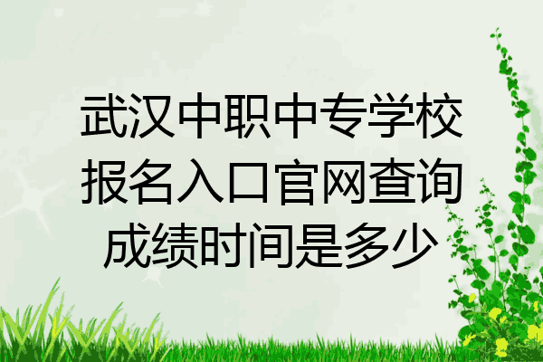 武汉中职中专学校报名入口官网查询成绩时间是多少