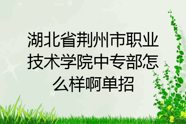 湖北省荆州市职业技术学院中专部怎么样啊单招