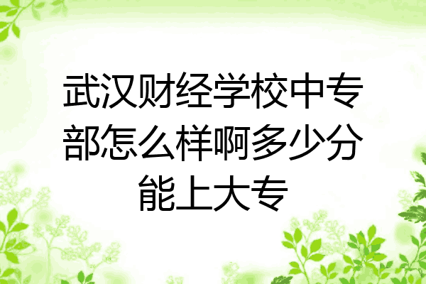 武汉财经学校中专部怎么样啊多少分能上大专