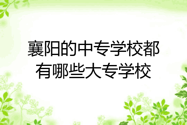 襄阳的中专学校都有哪些大专学校