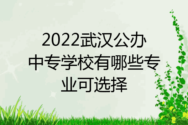 2022武汉公办中专学校有哪些专业可选择