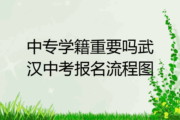 中专学籍重要吗武汉中考报名流程图