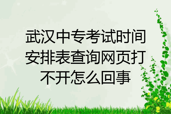 武汉中专考试时间安排表查询网页打不开怎么回事