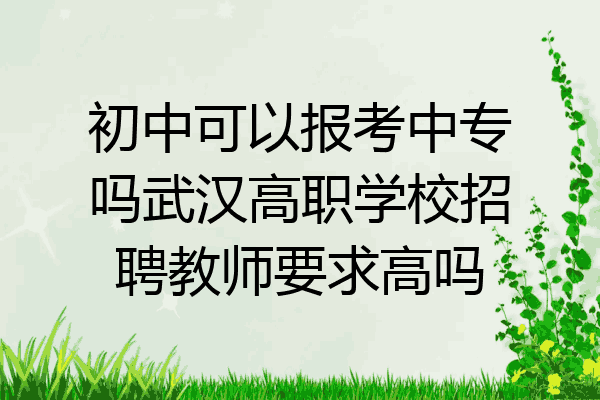 初中可以报考中专吗武汉高职学校招聘教师要求高吗