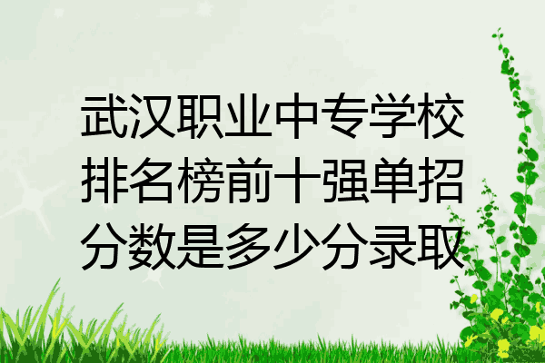 武汉职业中专学校排名榜前十强单招分数是多少分录取