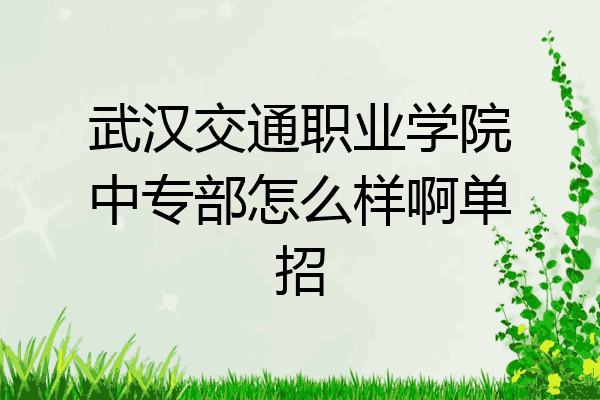 武汉交通职业学院中专部怎么样啊单招