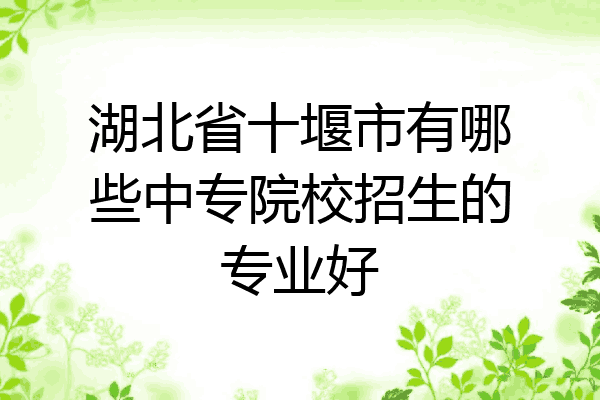 湖北省十堰市有哪些中专院校招生的专业好