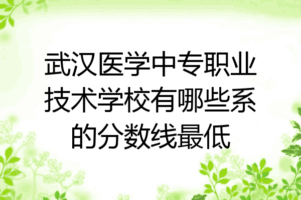 武汉医学中专职业技术学校有哪些系的分数线最低