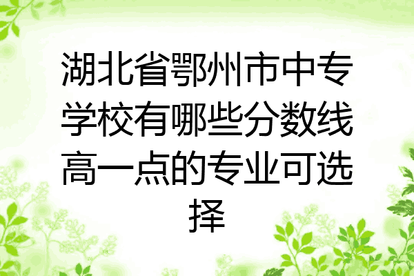 湖北省鄂州市中专学校有哪些分数线高一点的专业可选择