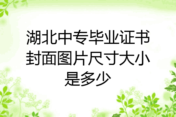 湖北中专毕业证书封面图片尺寸大小是多少