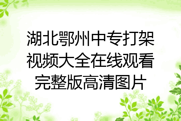 湖北鄂州中专打架视频大全在线观看完整版高清图片