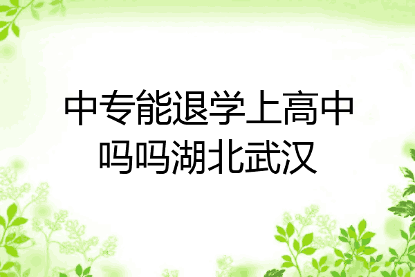 中专能退学上高中吗吗湖北武汉