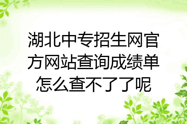 湖北中专招生网官方网站查询成绩单怎么查不了了呢