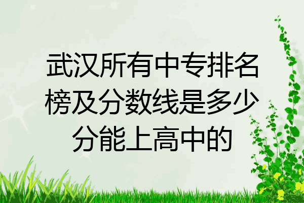 武汉所有中专排名榜及分数线是多少分能上高中的