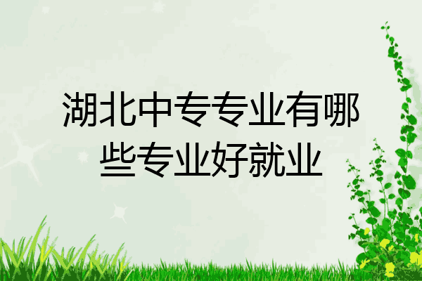 湖北中专专业有哪些专业好就业