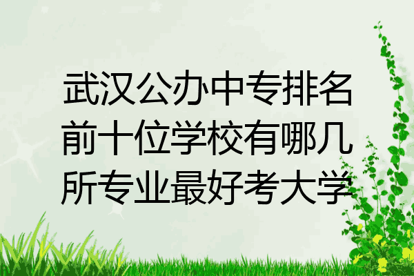 武汉公办中专排名前十位学校有哪几所专业最好考大学