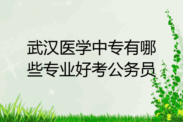 武汉医学中专有哪些专业好考公务员