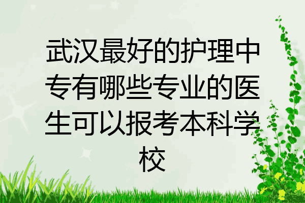武汉最好的护理中专有哪些专业的医生可以报考本科学校