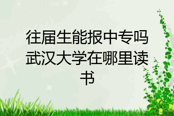 往届生能报中专吗武汉大学在哪里读书