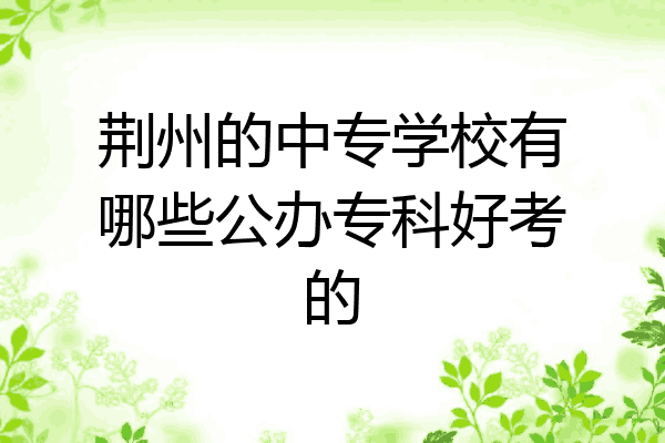 荆州的中专学校有哪些公办专科好考的