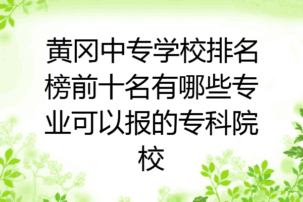黄冈中专学校排名榜前十名有哪些专业可以报的专科院校
