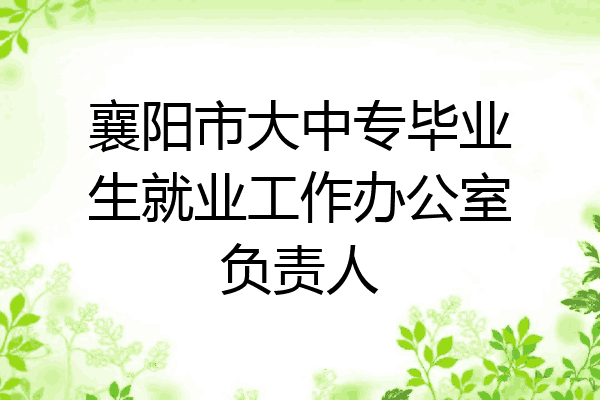 襄阳市大中专毕业生就业工作办公室负责人