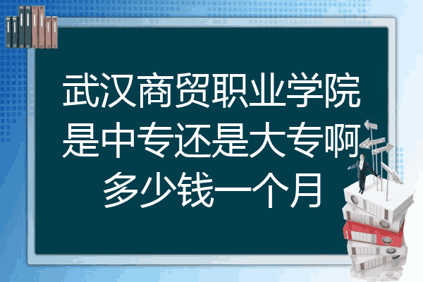 武汉商贸职业学院是中专还是大专啊多少钱一个月
