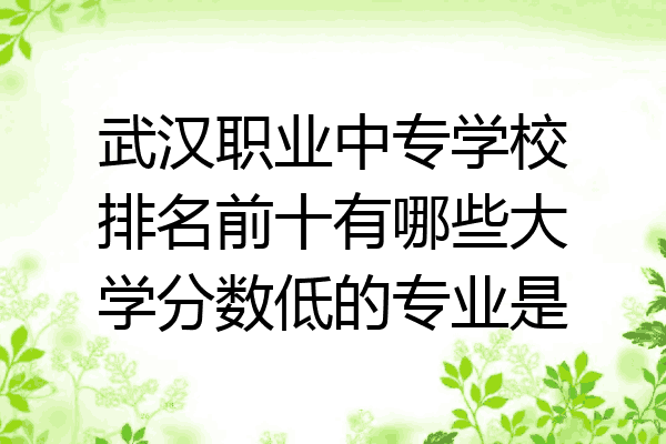 武汉职业中专学校排名前十有哪些大学分数低的专业是