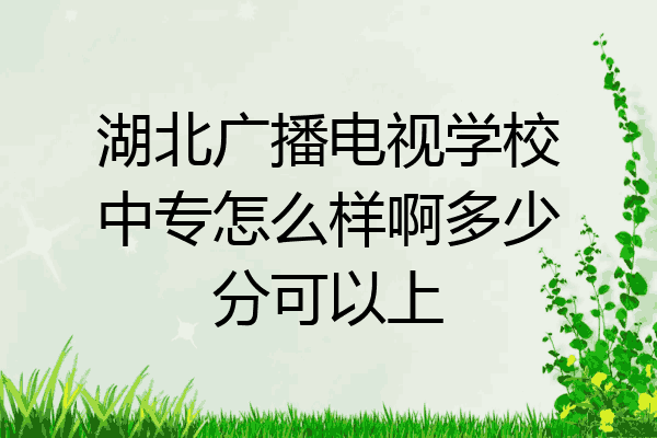 湖北广播电视学校中专怎么样啊多少分可以上