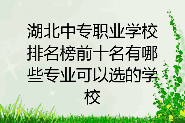 湖北中专职业学校排名榜前十名有哪些专业可以选的学校