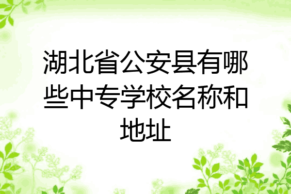 湖北省公安县有哪些中专学校名称和地址