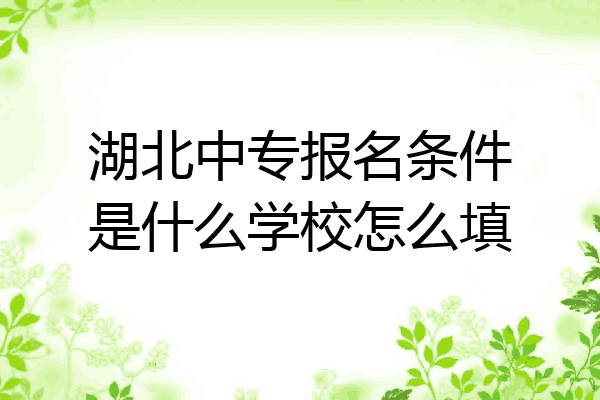湖北中专报名条件是什么学校怎么填