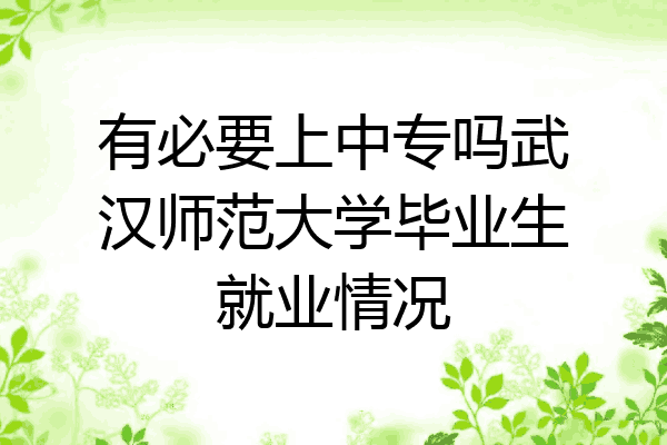 有必要上中专吗武汉师范大学毕业生就业情况
