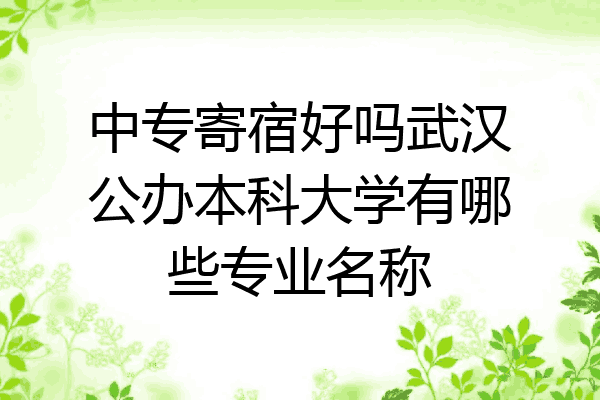 中专寄宿好吗武汉公办本科大学有哪些专业名称
