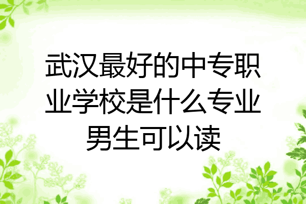 武汉最好的中专职业学校是什么专业男生可以读