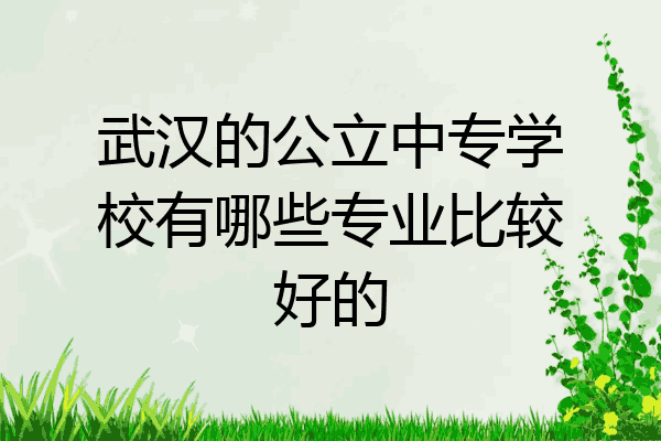 武汉的公立中专学校有哪些专业比较好的