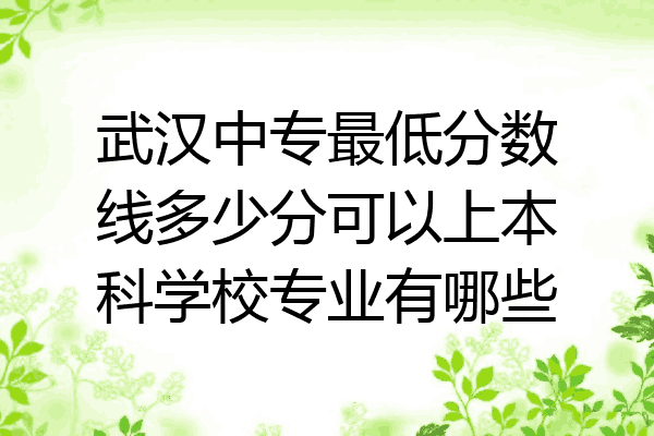 武汉中专最低分数线多少分可以上本科学校专业有哪些