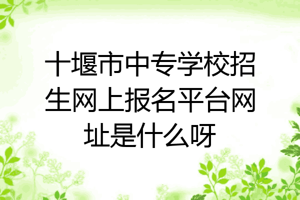 十堰市中专学校招生网上报名平台网址是什么呀