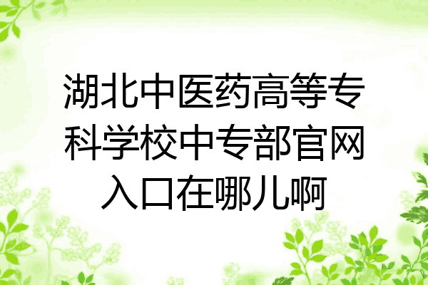 湖北中医药高等专科学校中专部官网入口在哪儿啊