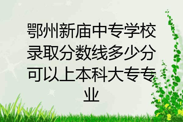 鄂州新庙中专学校录取分数线多少分可以上本科大专专业