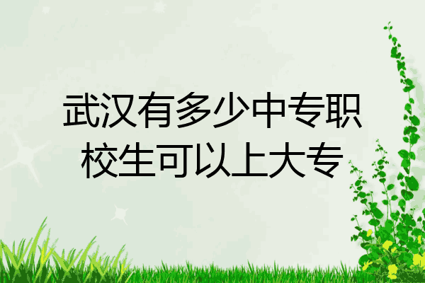 武汉有多少中专职校生可以上大专