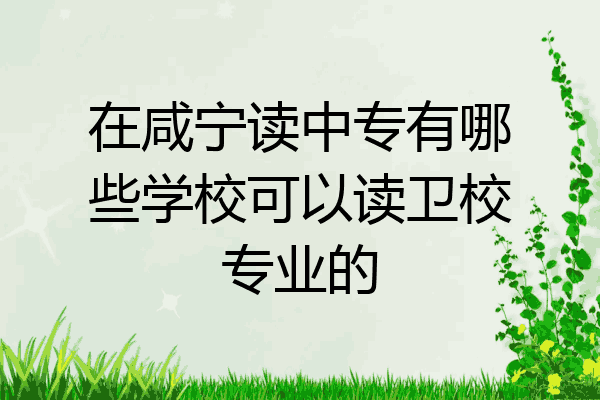 在咸宁读中专有哪些学校可以读卫校专业的
