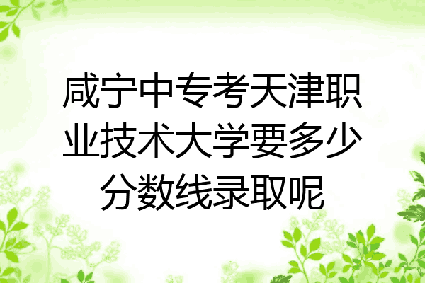 咸宁中专考天津职业技术大学要多少分数线录取呢