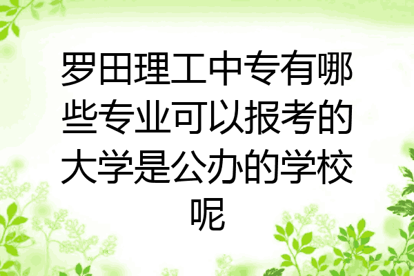 罗田理工中专有哪些专业可以报考的大学是公办的学校呢