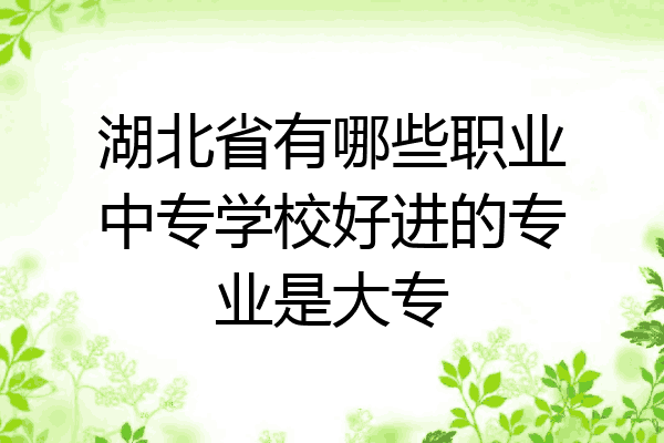 湖北省有哪些职业中专学校好进的专业是大专