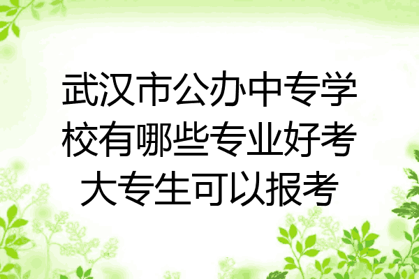 武汉市公办中专学校有哪些专业好考大专生可以报考