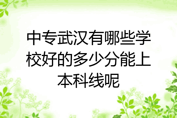 中专武汉有哪些学校好的多少分能上本科线呢