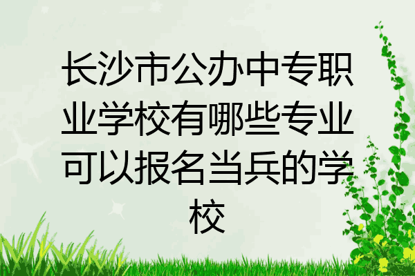 长沙市公办中专职业学校有哪些专业可以报名当兵的学校