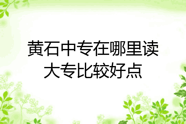 黄石中专在哪里读大专比较好点