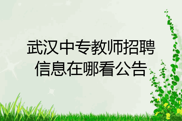 武汉中专教师招聘信息在哪看公告